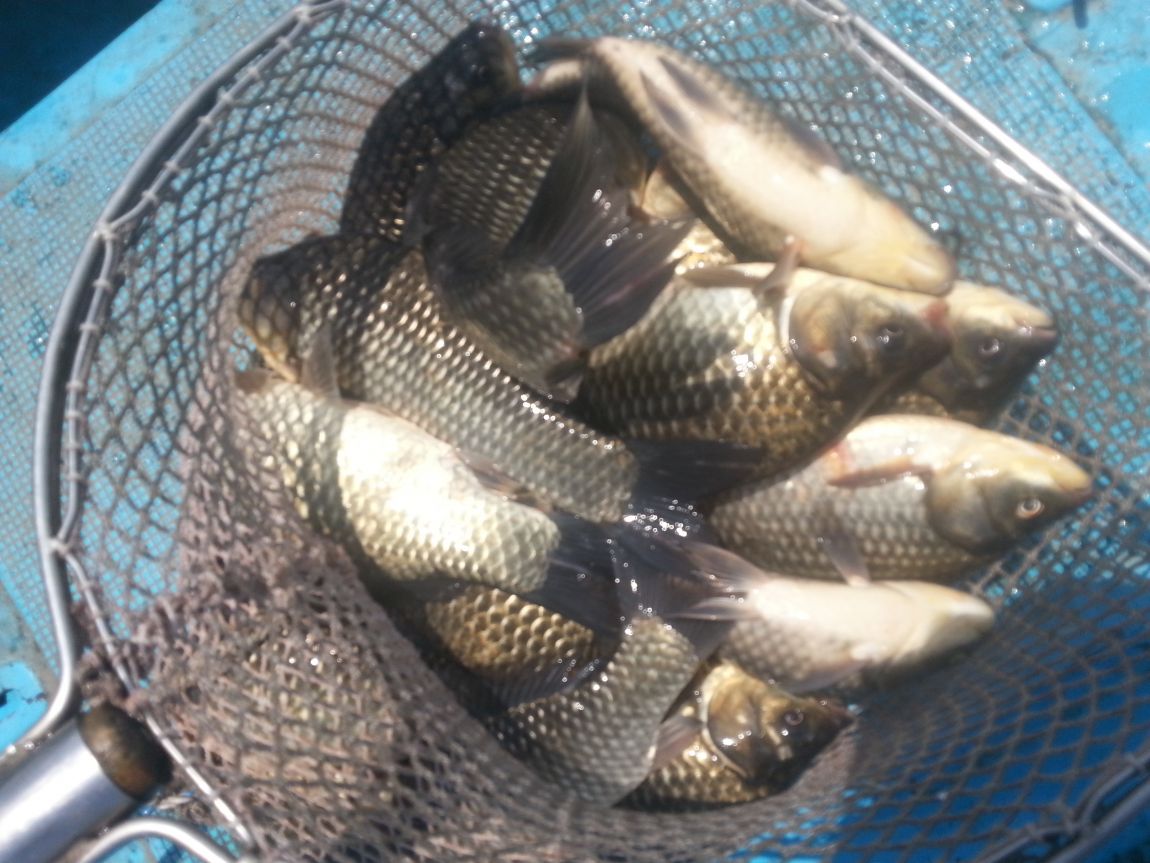 20140510_124111.jpg