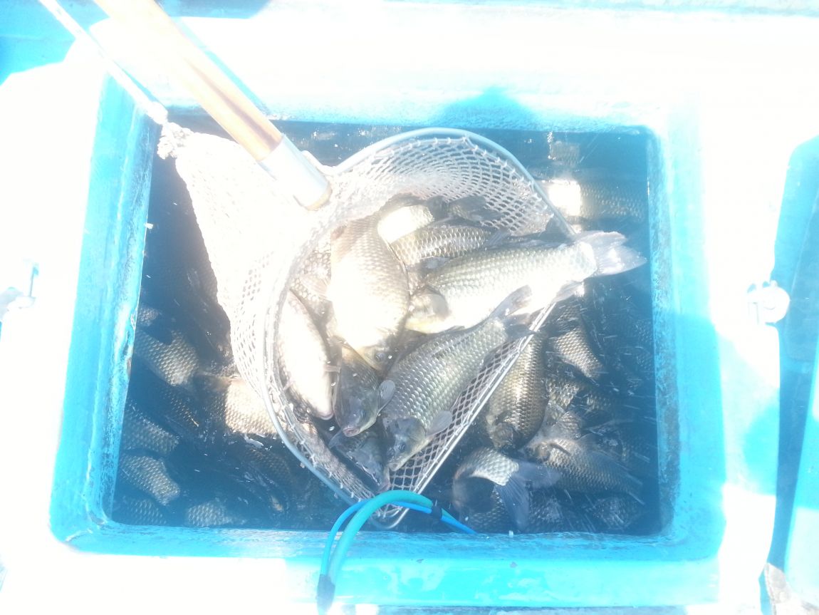 20140510_124345.jpg