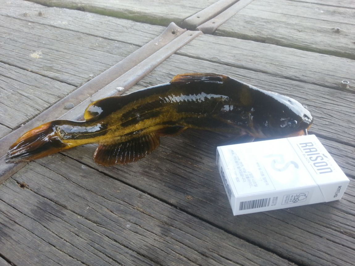 20140510_151152.jpg