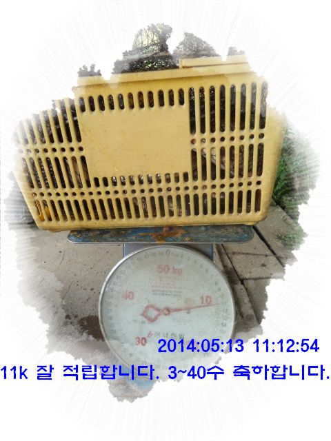 �ٹ̱�_DSC00515.JPG