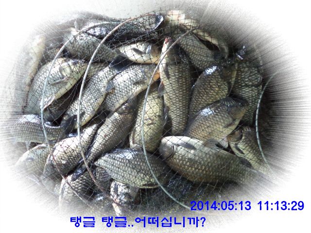 �ٹ̱�_DSC00516.JPG