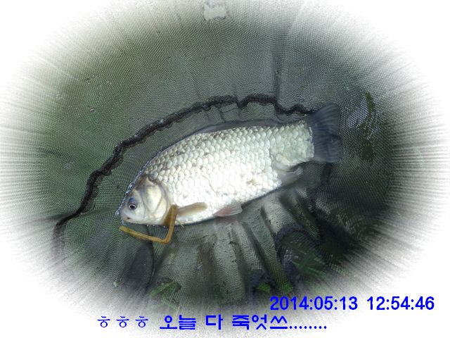 �ٹ̱�_DSC00521.JPG