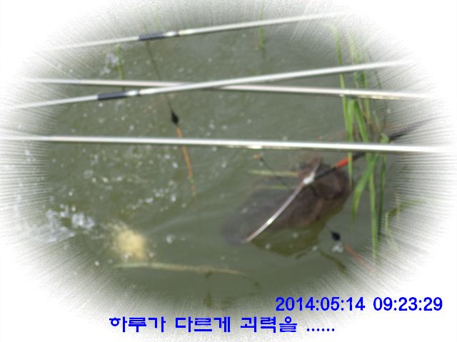 �ٹ̱�_DSC00527.JPG