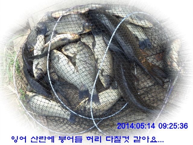 �ٹ̱�_DSC00529.JPG