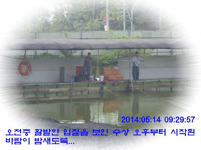 �ٹ̱�_DSC00530.JPG