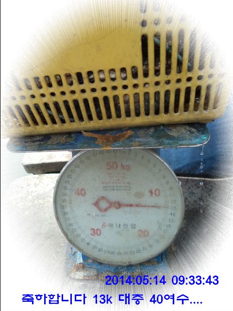 �ٹ̱�_DSC00531.JPG