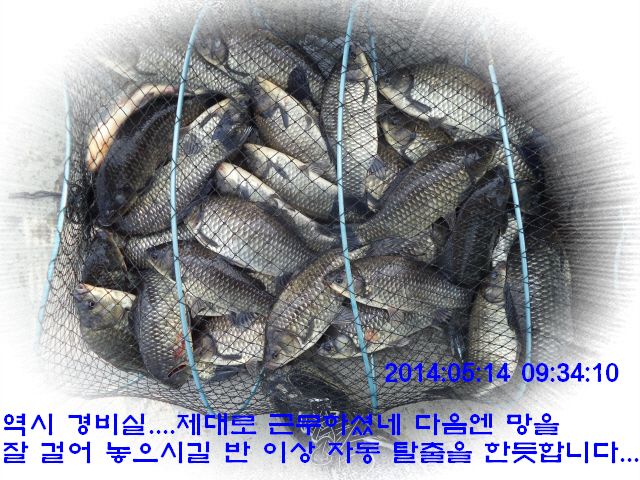 �ٹ̱�_DSC00532.JPG