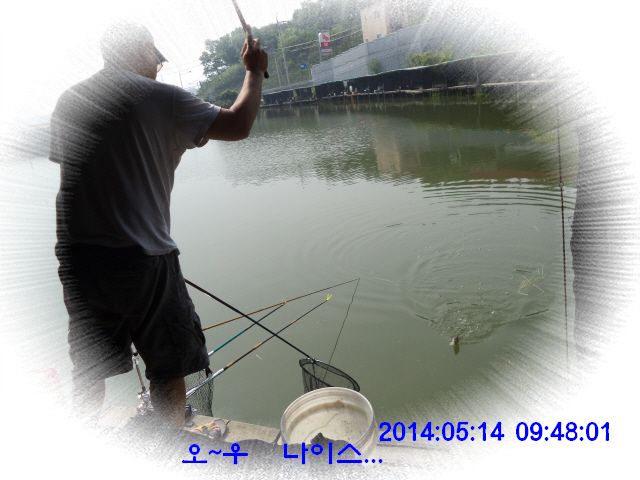 �ٹ̱�_DSC00534.JPG