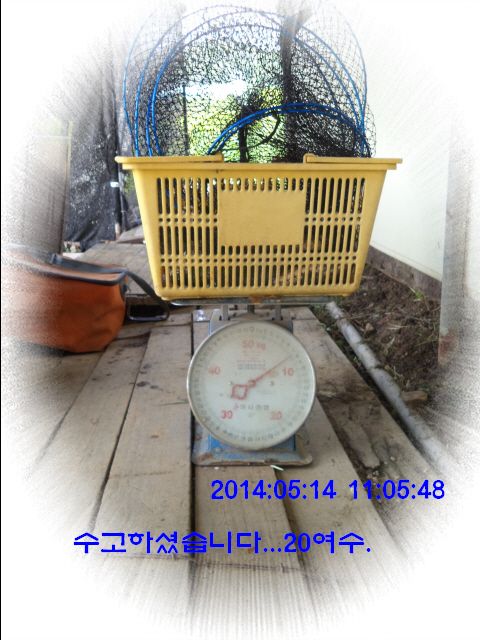 �ٹ̱�_DSC00536.JPG