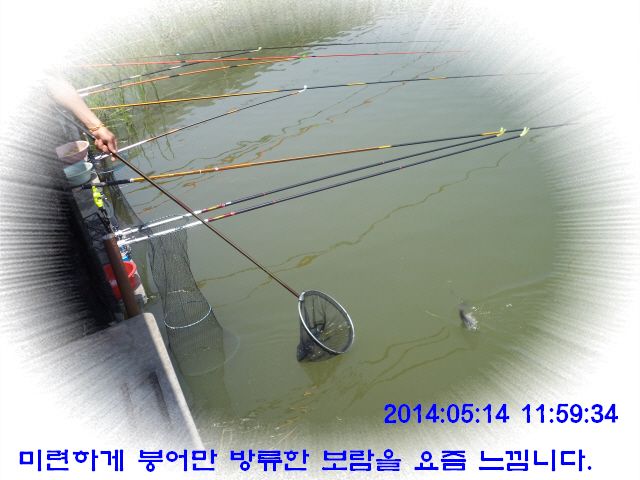 �ٹ̱�_DSC00538.JPG