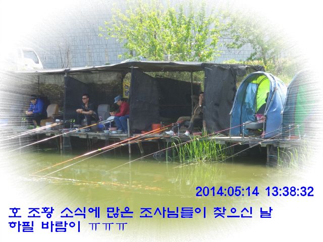 �ٹ̱�_DSC00539.JPG