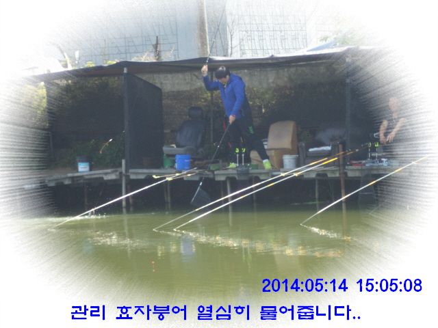 �ٹ̱�_DSC00540.JPG