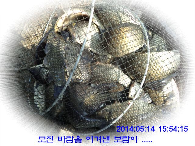 �ٹ̱�_DSC00541.JPG