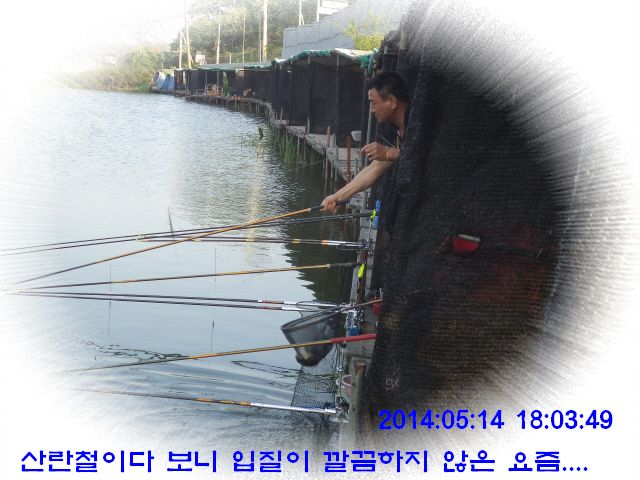 �ٹ̱�_DSC00545.JPG