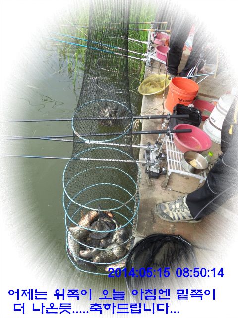 �ٹ̱�_DSC00548.JPG