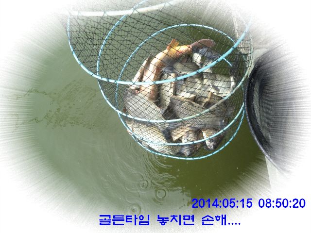 �ٹ̱�_DSC00549.JPG