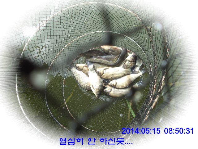 �ٹ̱�_DSC00550.JPG