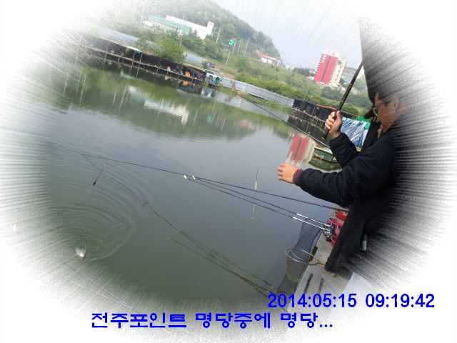 �ٹ̱�_DSC00552.JPG