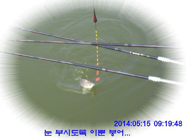 �ٹ̱�_DSC00553.JPG