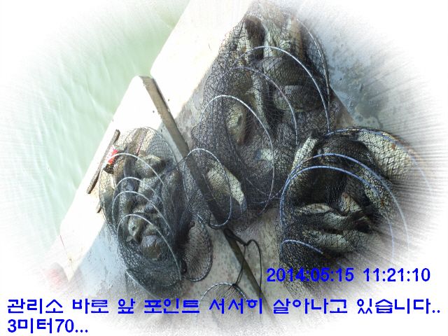 �ٹ̱�_DSC00555.JPG