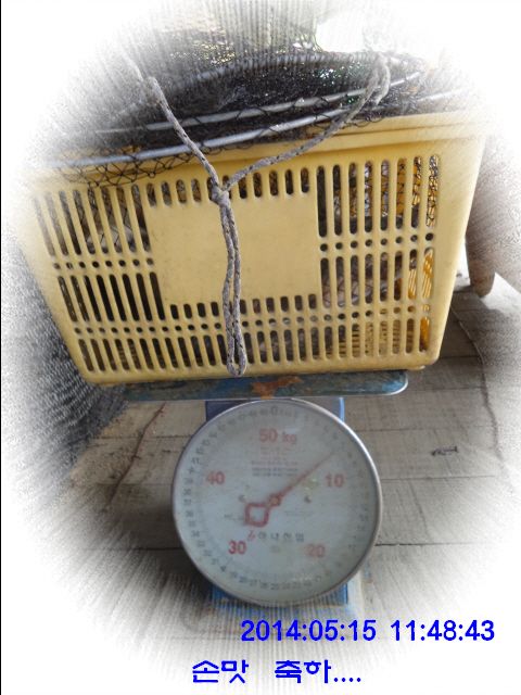 �ٹ̱�_DSC00559.JPG