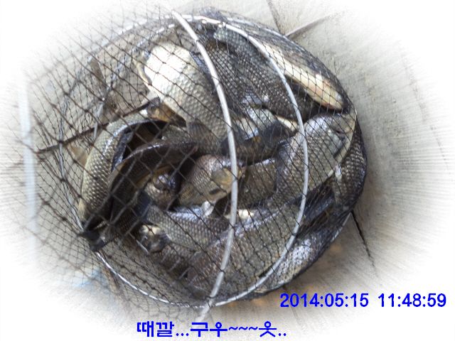 �ٹ̱�_DSC00560.JPG
