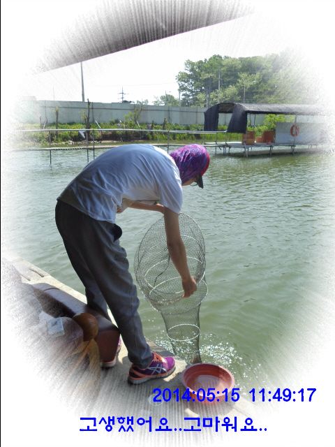 �ٹ̱�_DSC00561.JPG