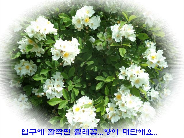 �ٹ̱�_DSC00587.JPG