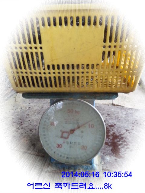 �ٹ̱�_DSC00589.JPG