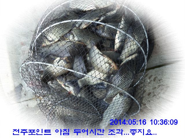 �ٹ̱�_DSC00590.JPG