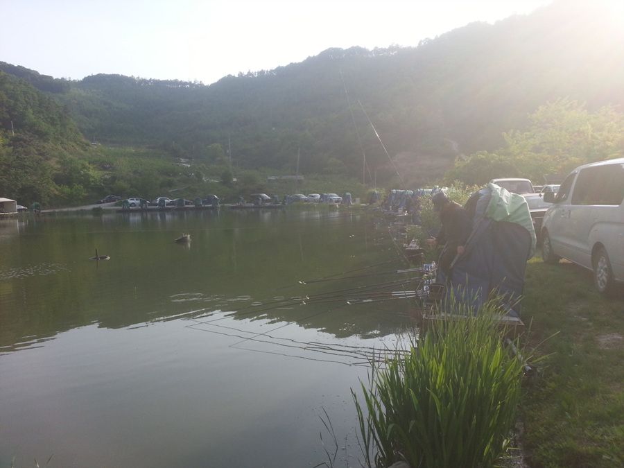20140510_173316.jpg