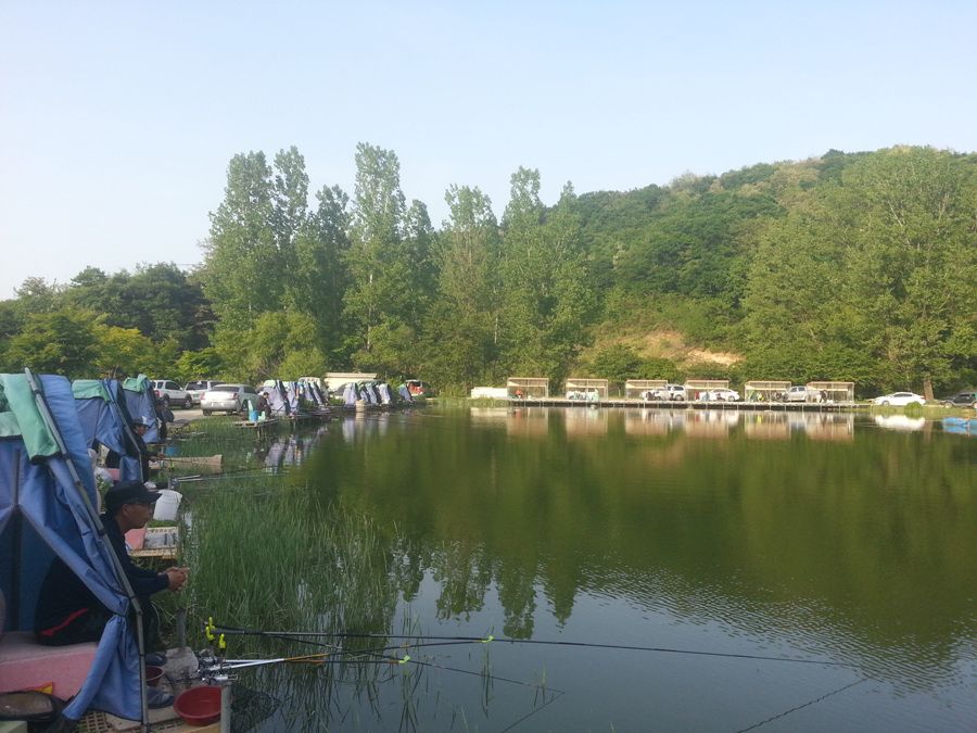 20140510_174014.jpg