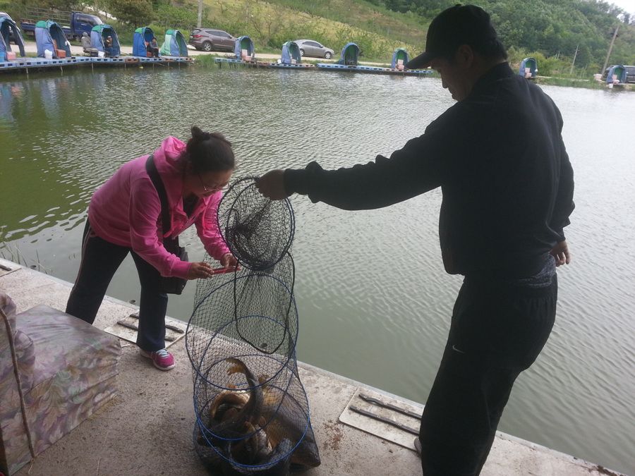 20140511_114837.jpg