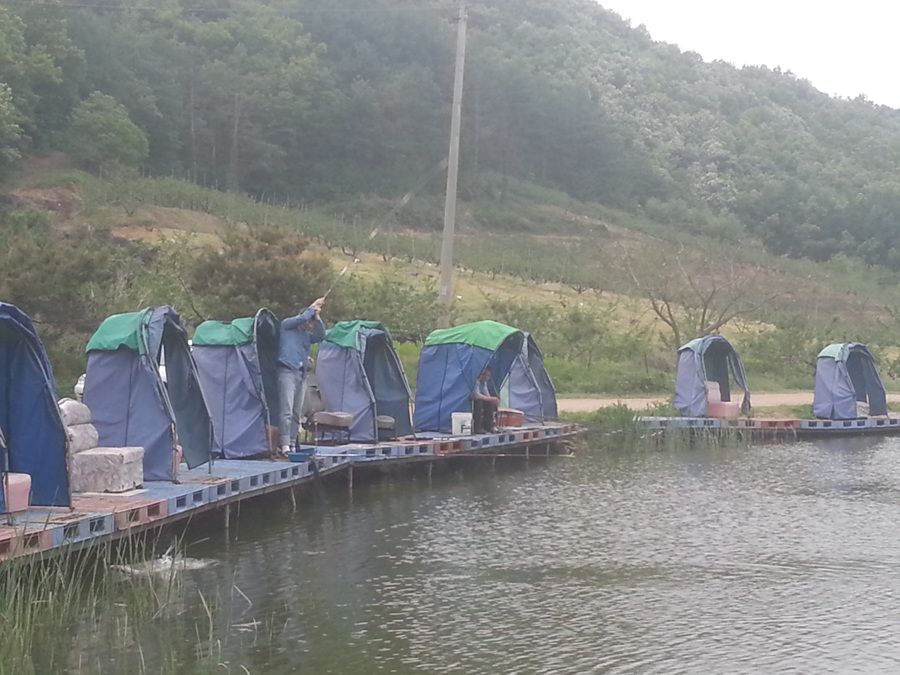 20140511_180508.jpg
