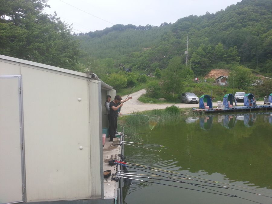 20140511_144501.jpg