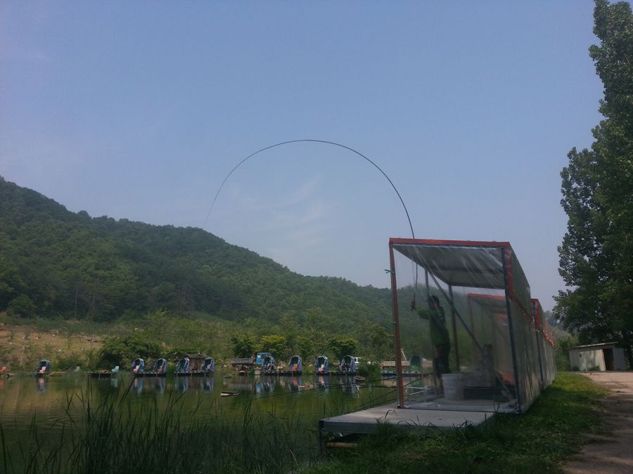 20140513_103033.jpg