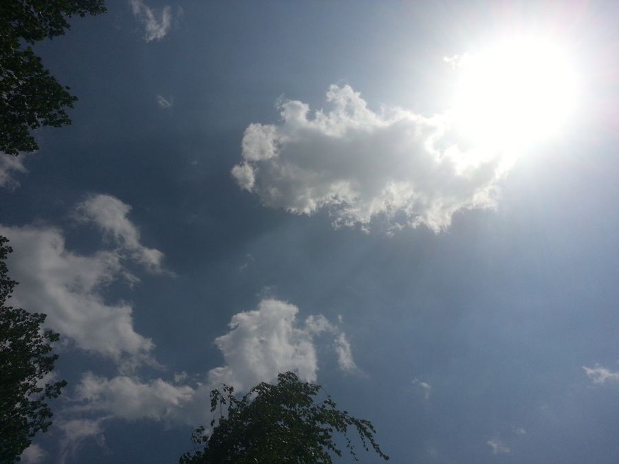 20140515_140645.jpg