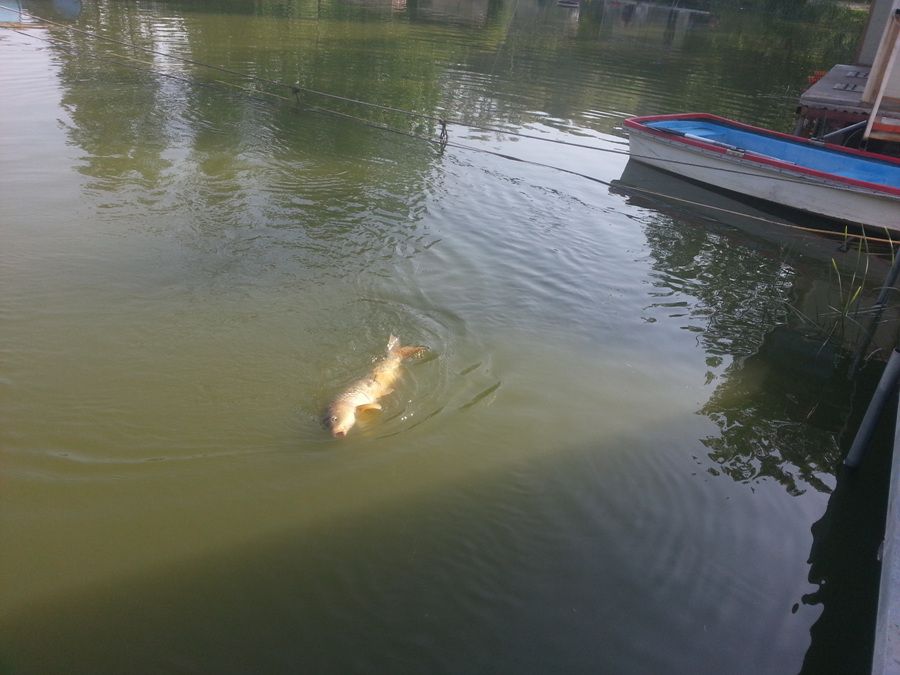 20140516_080403.jpg