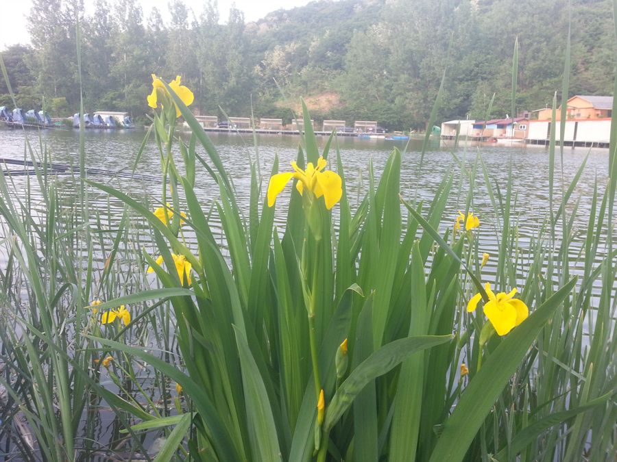 20140516_180745.jpg