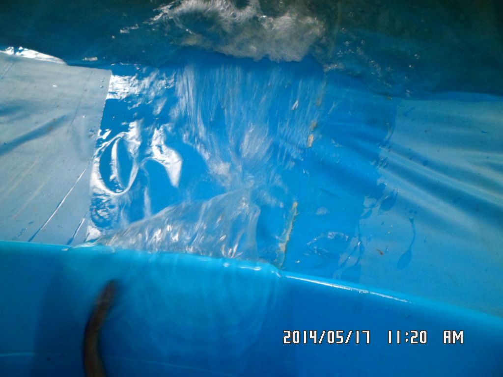 006.JPG