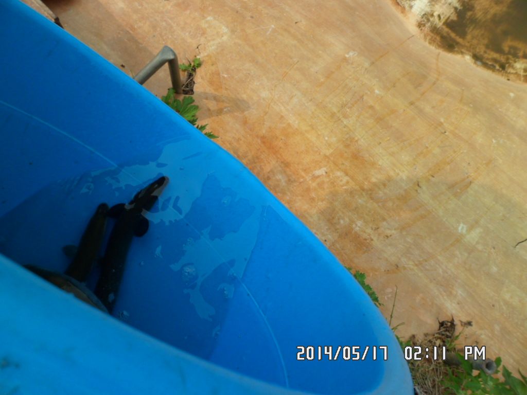 010.JPG