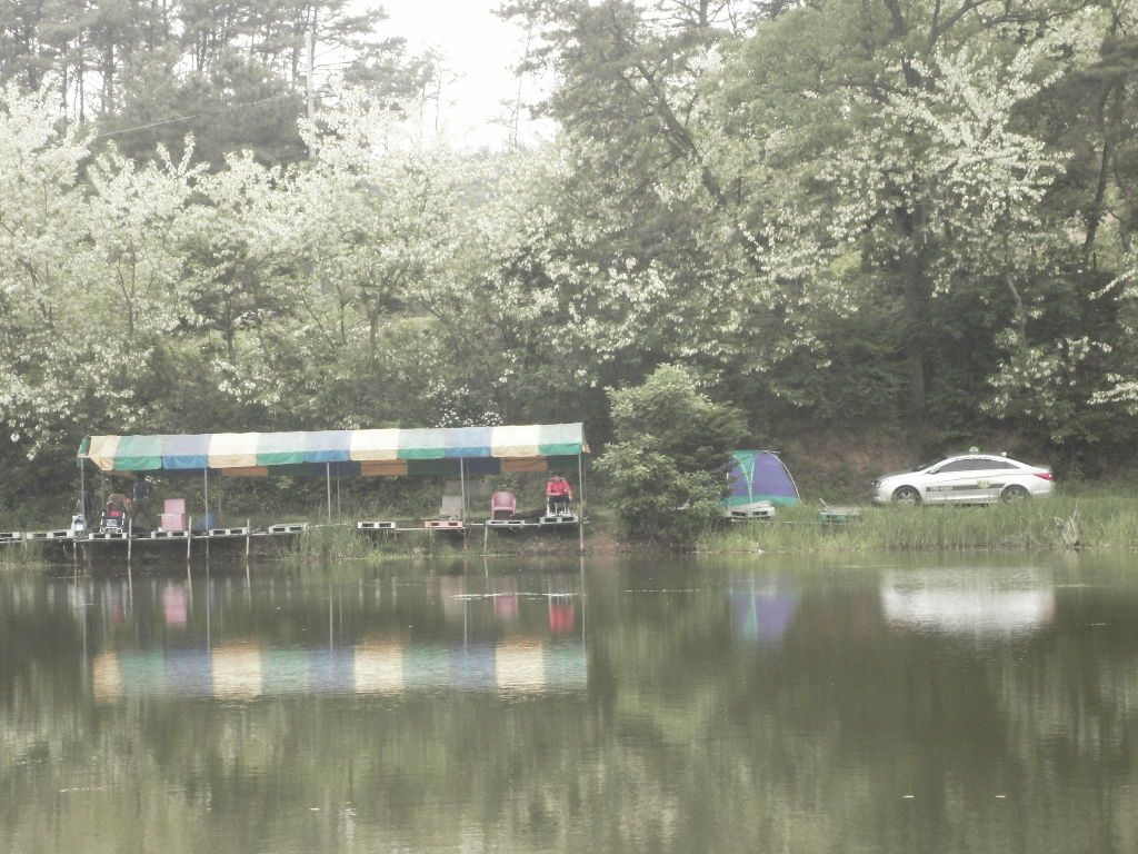 SDC10610.JPG