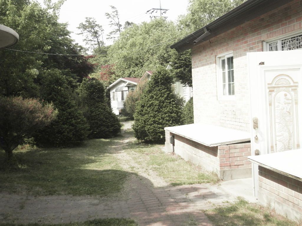 SDC10616.JPG