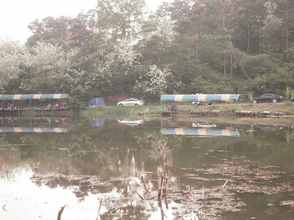 SDC10619.JPG