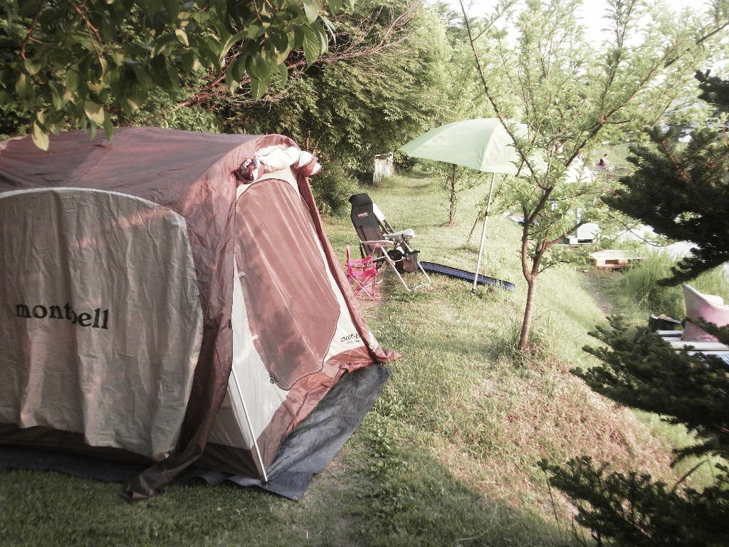 SDC10620.JPG