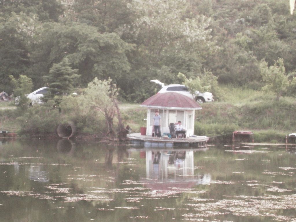SDC10622.JPG