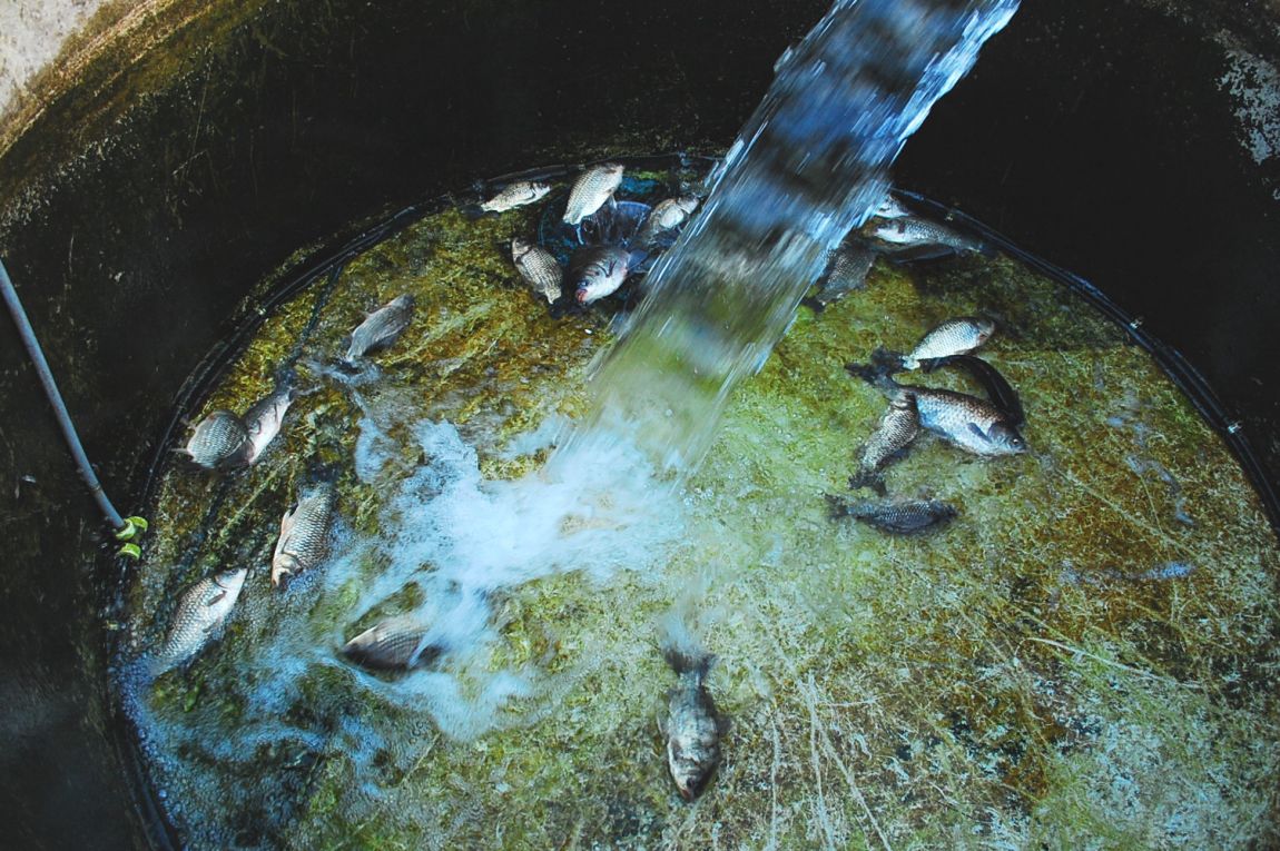 �ٹ̱�_DSC_0102.JPG