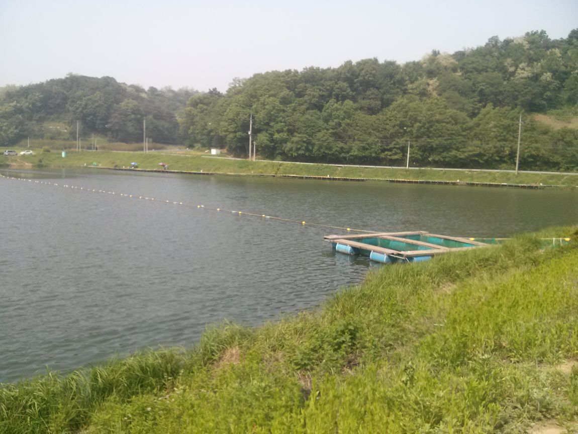 CAM01572.jpg