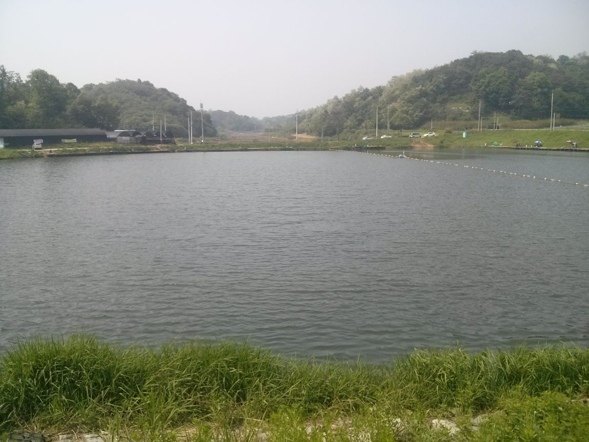 CAM01573.jpg