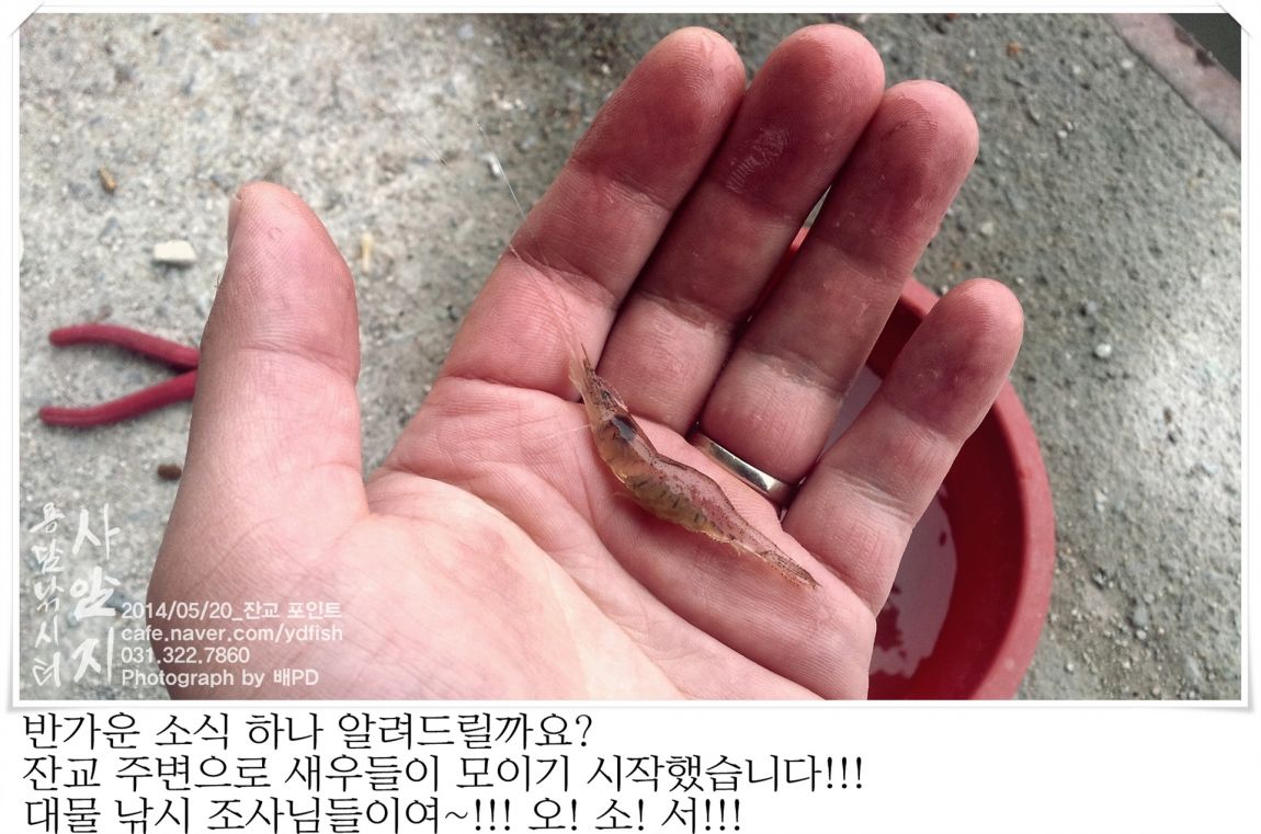 20140520_074553.jpg